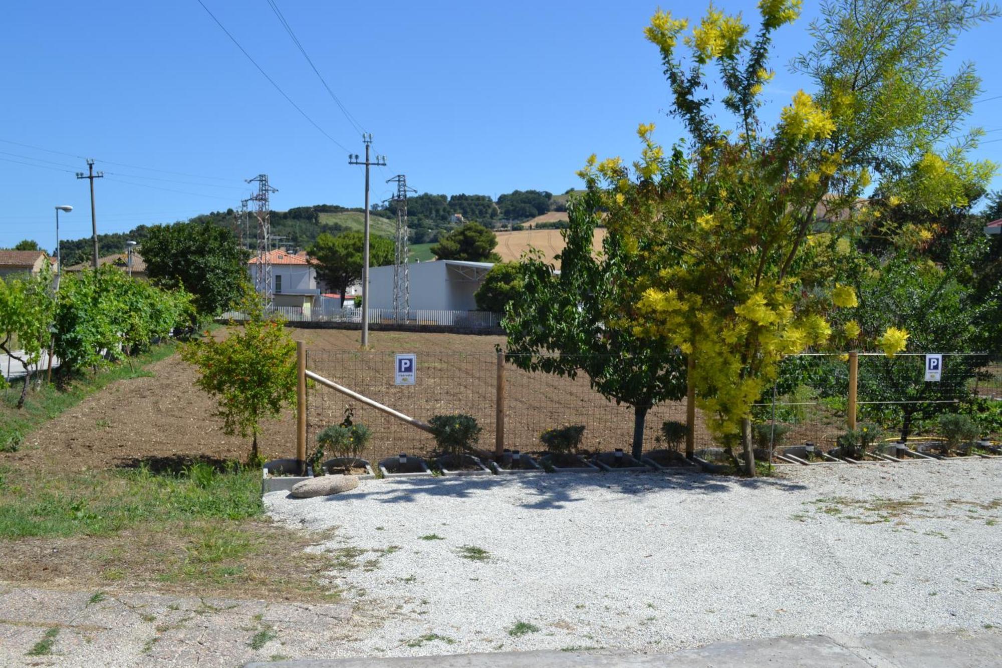 Casa Degli Ulivi - Apartment B Porto San Giorgio Eksteriør billede